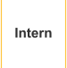 Intern